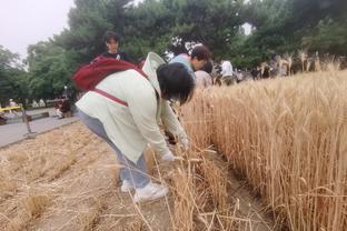 雷电竞下载地址截图2